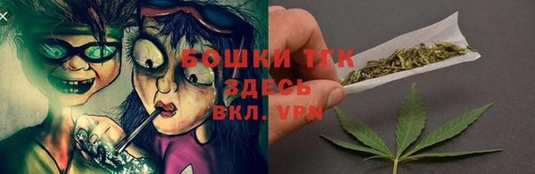 крисы Елизово