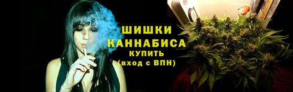 крисы Елизово