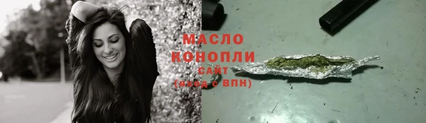 скорость Ельня