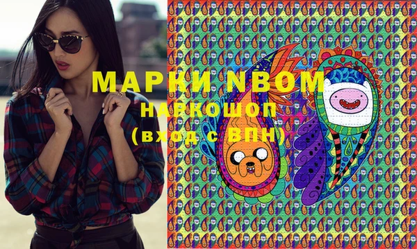 крисы Елизово