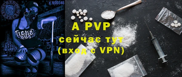 скорость Ельня