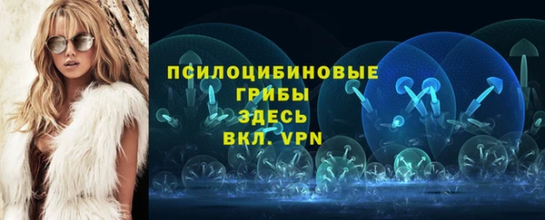 скорость Ельня
