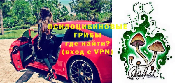 скорость Ельня