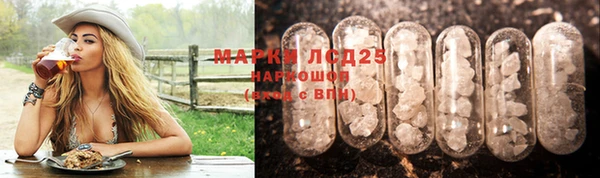 скорость Ельня